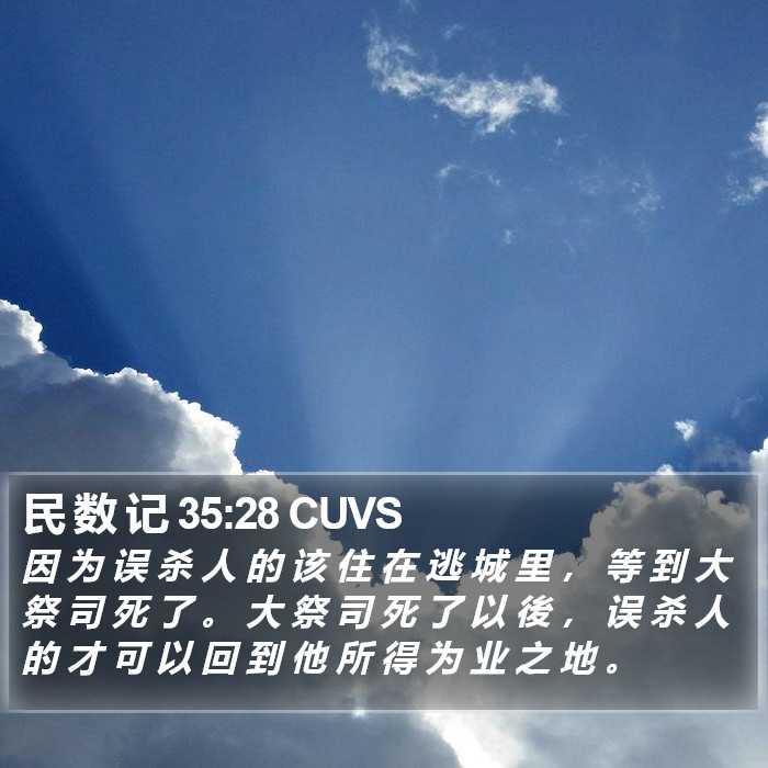 民 数 记 35:28 CUVS Bible Study