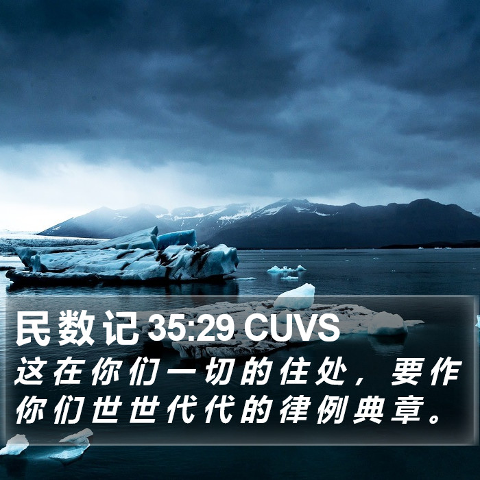 民 数 记 35:29 CUVS Bible Study