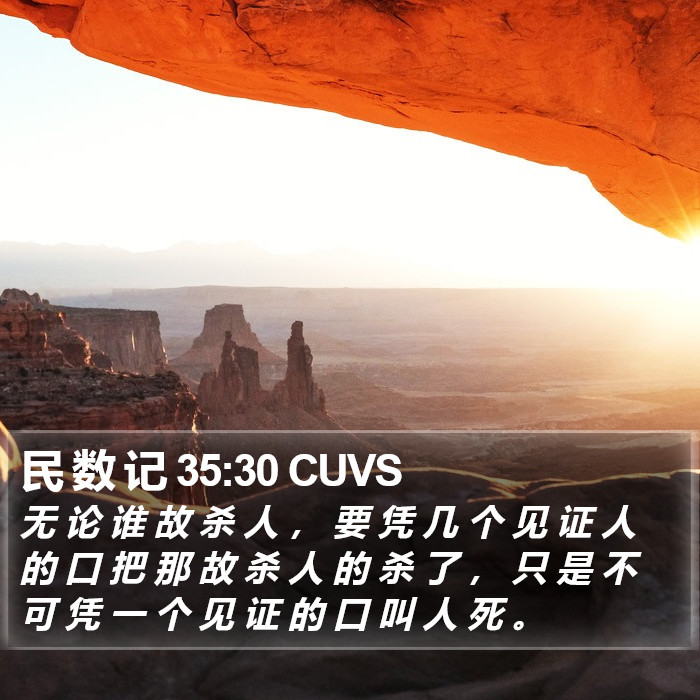 民 数 记 35:30 CUVS Bible Study