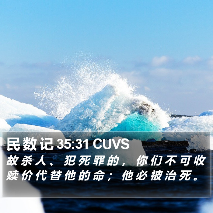 民 数 记 35:31 CUVS Bible Study