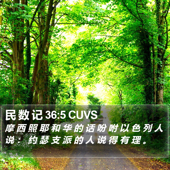 民 数 记 36:5 CUVS Bible Study