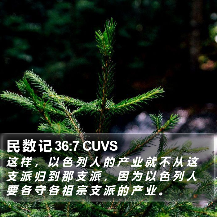 民 数 记 36:7 CUVS Bible Study