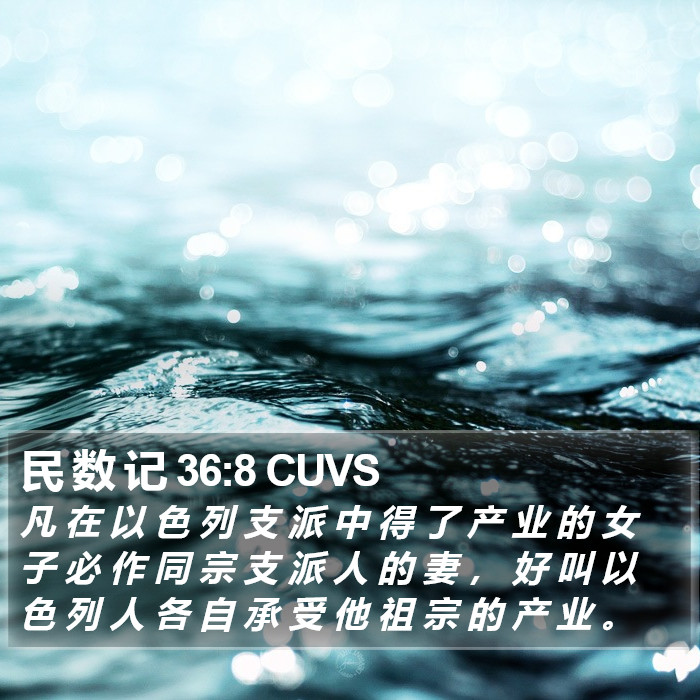 民 数 记 36:8 CUVS Bible Study