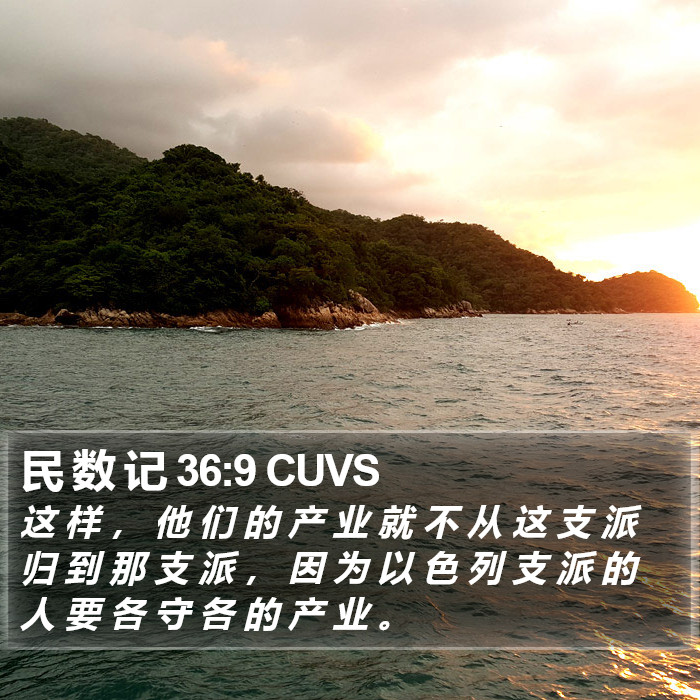 民 数 记 36:9 CUVS Bible Study