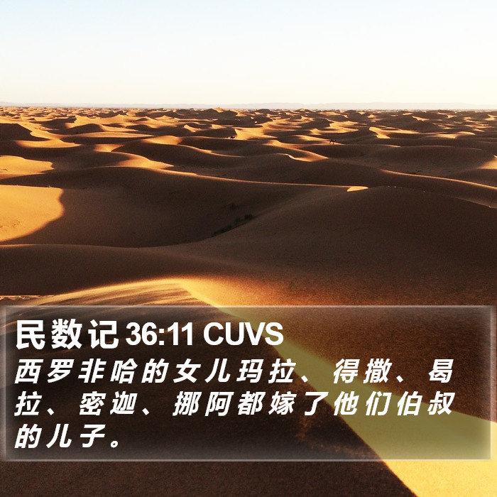 民 数 记 36:11 CUVS Bible Study