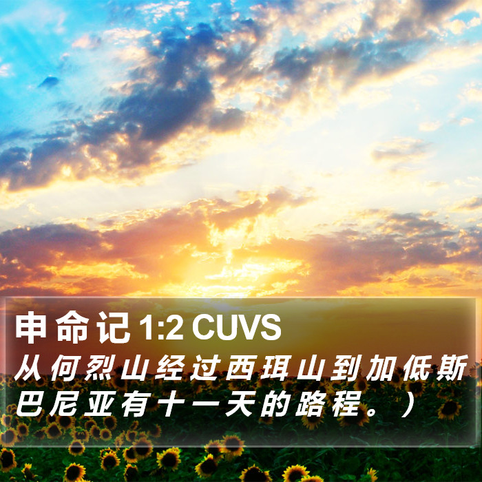 申 命 记 1:2 CUVS Bible Study