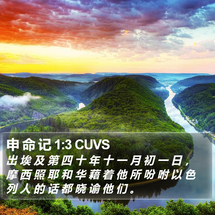 申 命 记 1:3 CUVS Bible Study