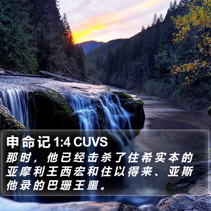 申 命 记 1:4 CUVS Bible Study