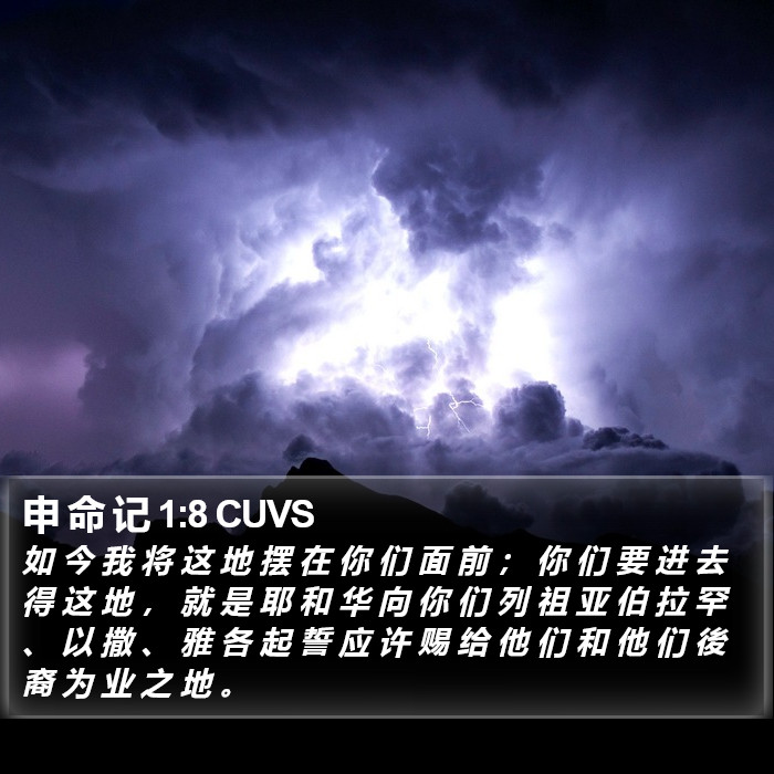 申 命 记 1:8 CUVS Bible Study