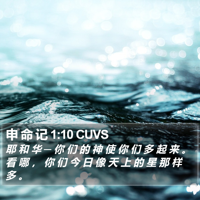 申 命 记 1:10 CUVS Bible Study