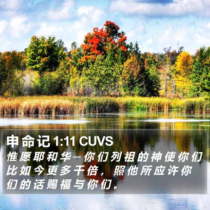 申 命 记 1:11 CUVS Bible Study