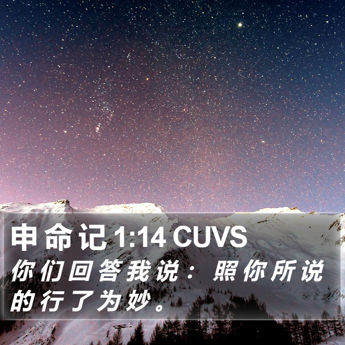 申 命 记 1:14 CUVS Bible Study