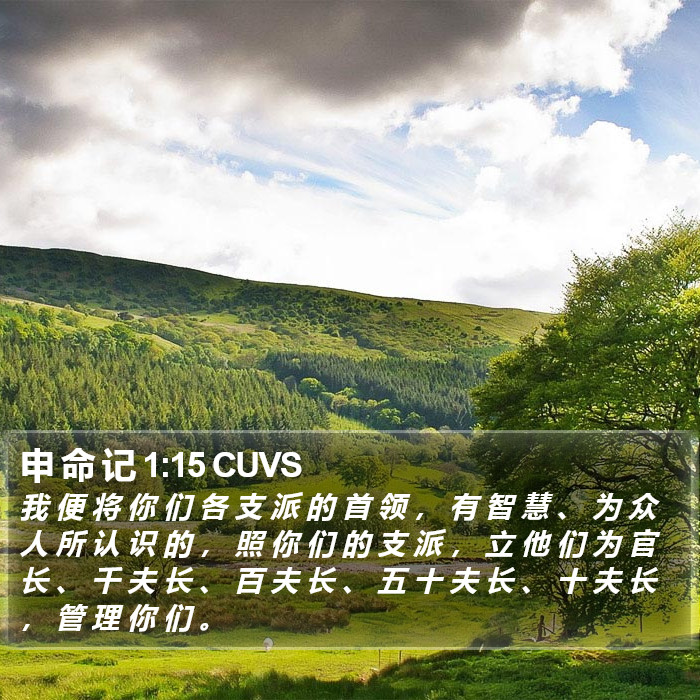 申 命 记 1:15 CUVS Bible Study