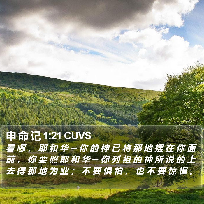 申 命 记 1:21 CUVS Bible Study