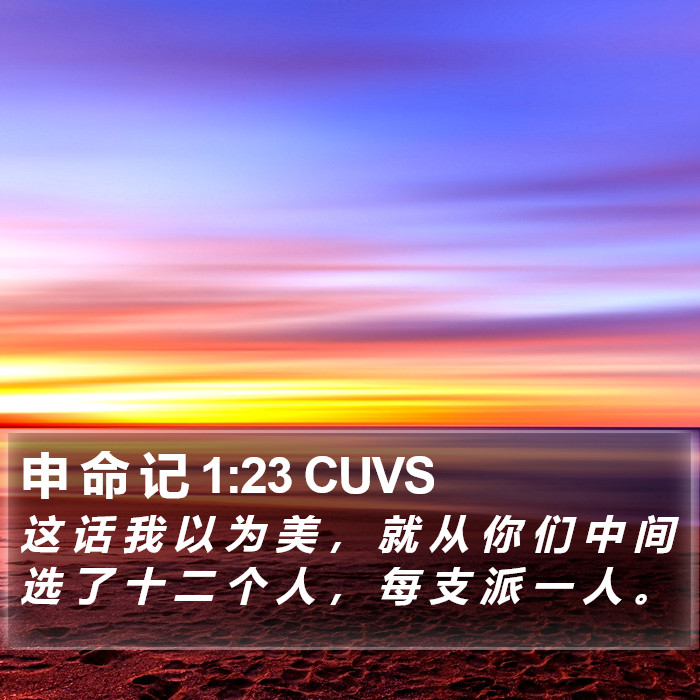 申 命 记 1:23 CUVS Bible Study