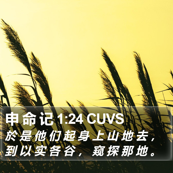 申 命 记 1:24 CUVS Bible Study