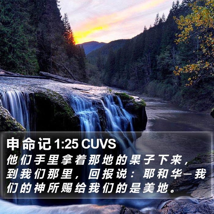 申 命 记 1:25 CUVS Bible Study