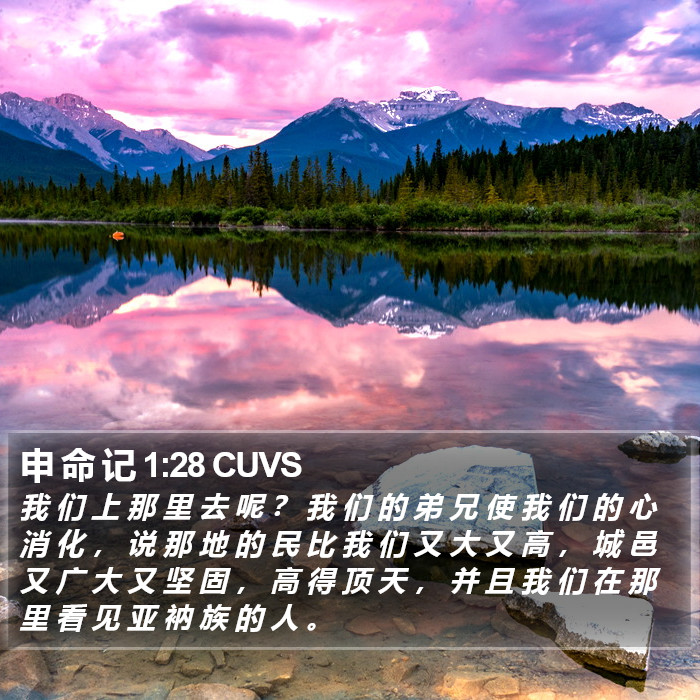 申 命 记 1:28 CUVS Bible Study