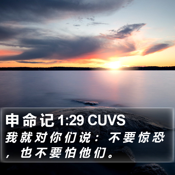 申 命 记 1:29 CUVS Bible Study