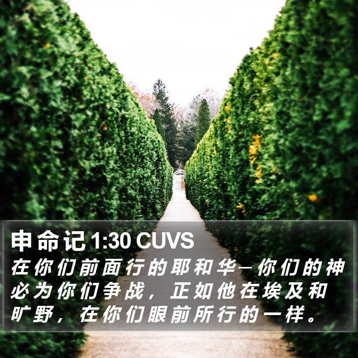 申 命 记 1:30 CUVS Bible Study