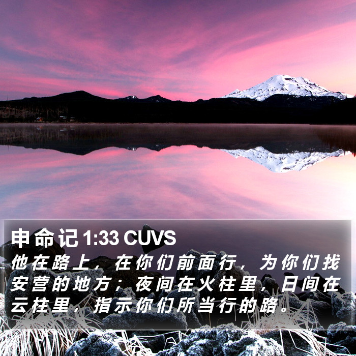 申 命 记 1:33 CUVS Bible Study