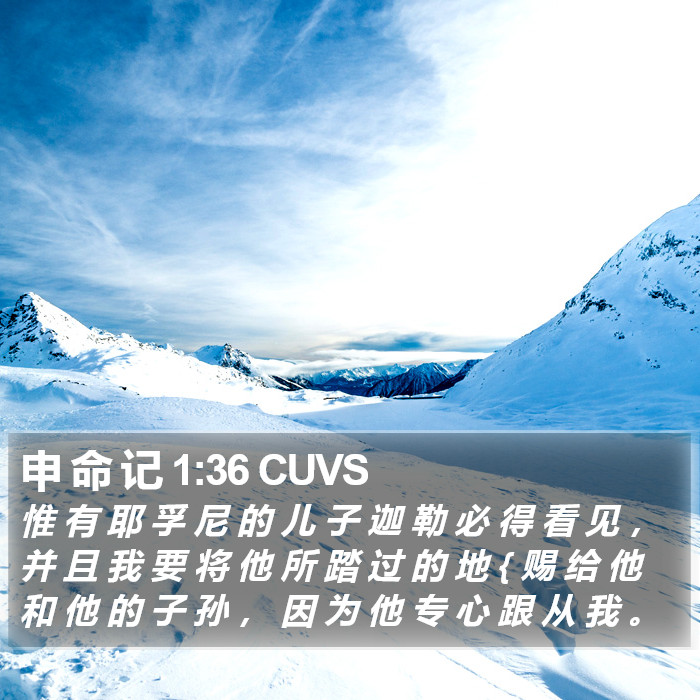 申 命 记 1:36 CUVS Bible Study