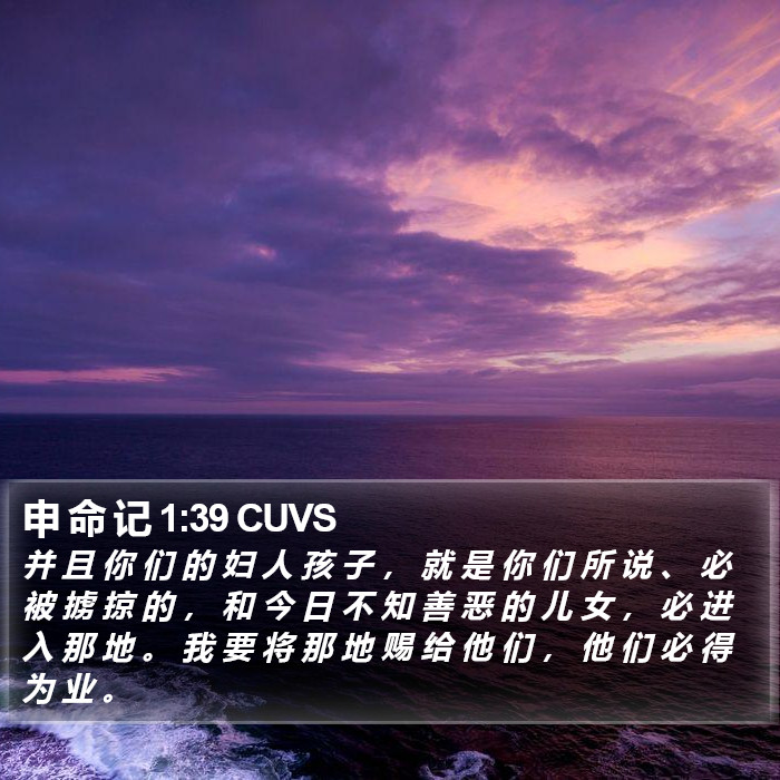 申 命 记 1:39 CUVS Bible Study