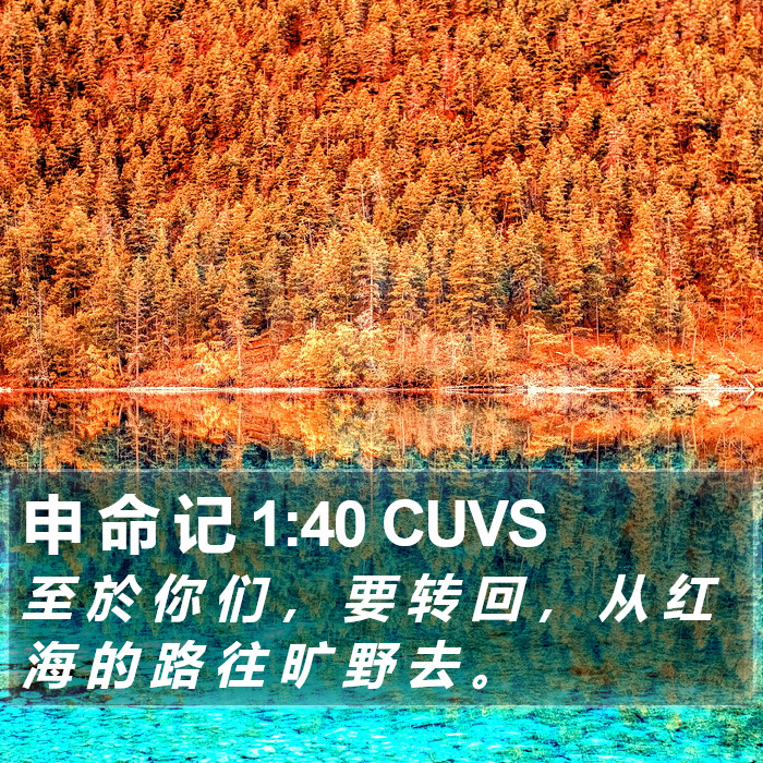 申 命 记 1:40 CUVS Bible Study