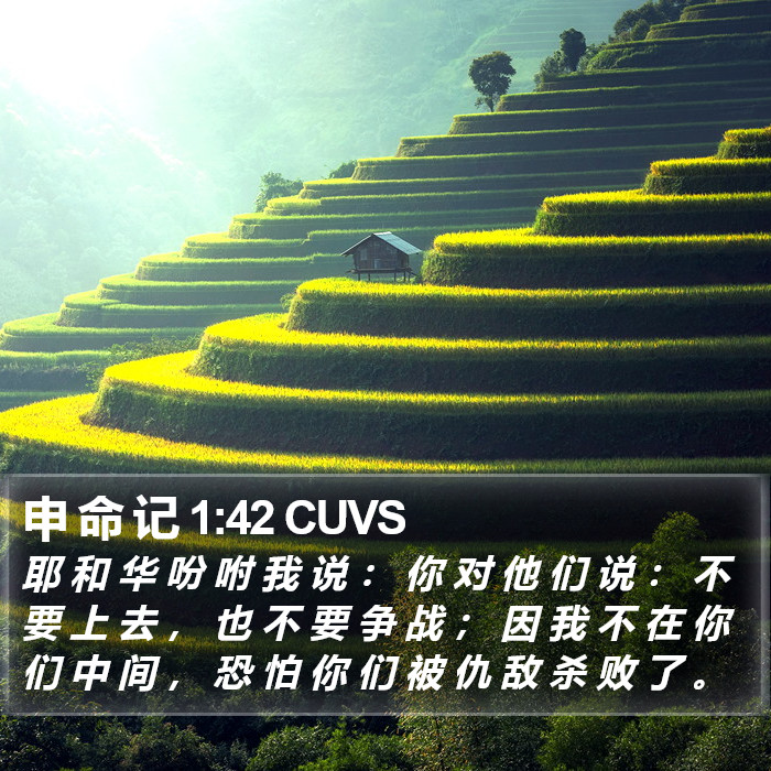 申 命 记 1:42 CUVS Bible Study