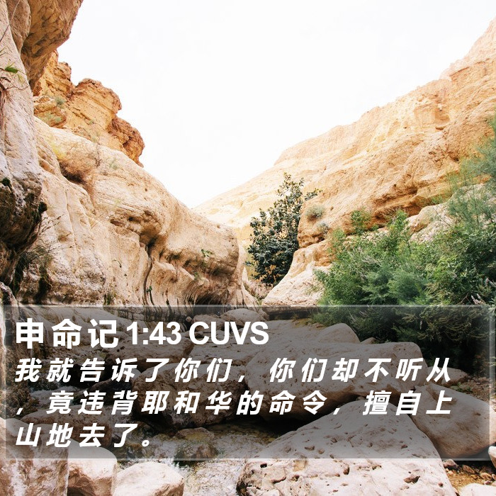 申 命 记 1:43 CUVS Bible Study