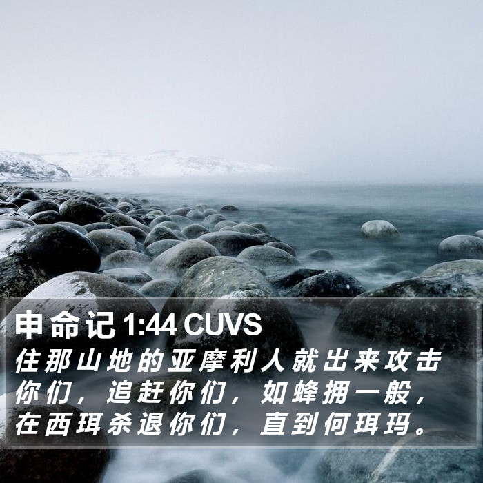 申 命 记 1:44 CUVS Bible Study