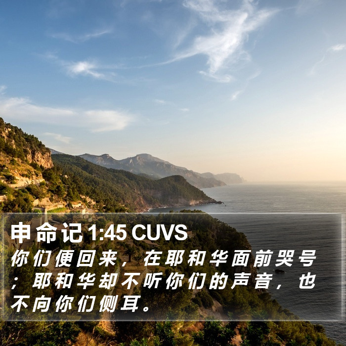 申 命 记 1:45 CUVS Bible Study