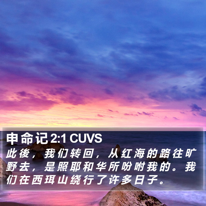 申 命 记 2:1 CUVS Bible Study