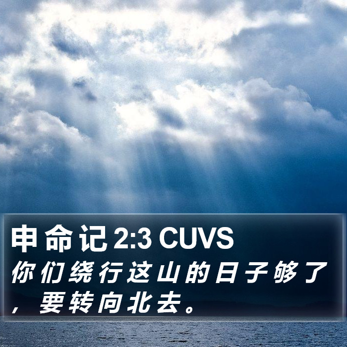 申 命 记 2:3 CUVS Bible Study