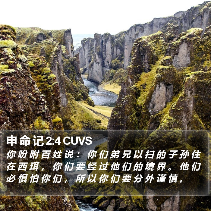 申 命 记 2:4 CUVS Bible Study