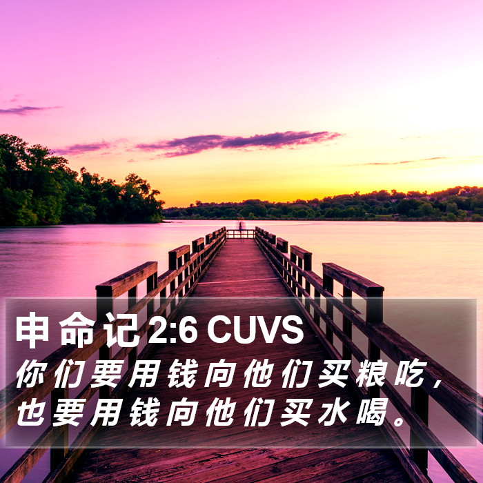 申 命 记 2:6 CUVS Bible Study