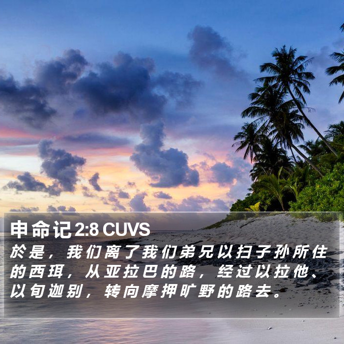 申 命 记 2:8 CUVS Bible Study