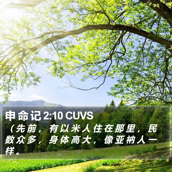 申 命 记 2:10 CUVS Bible Study