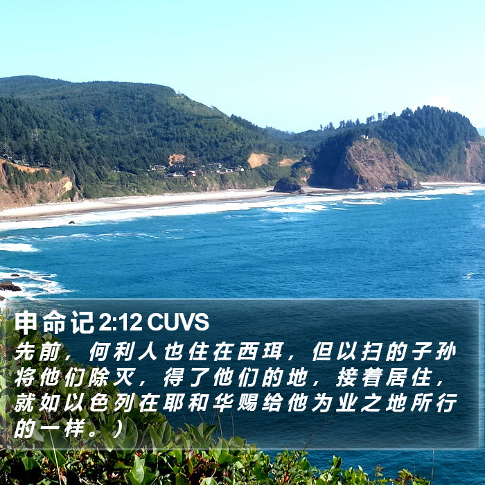 申 命 记 2:12 CUVS Bible Study