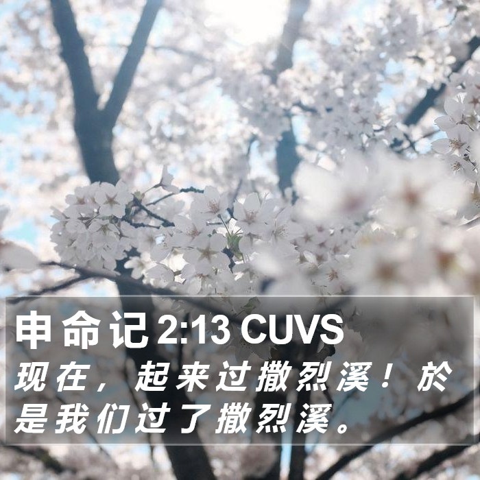 申 命 记 2:13 CUVS Bible Study