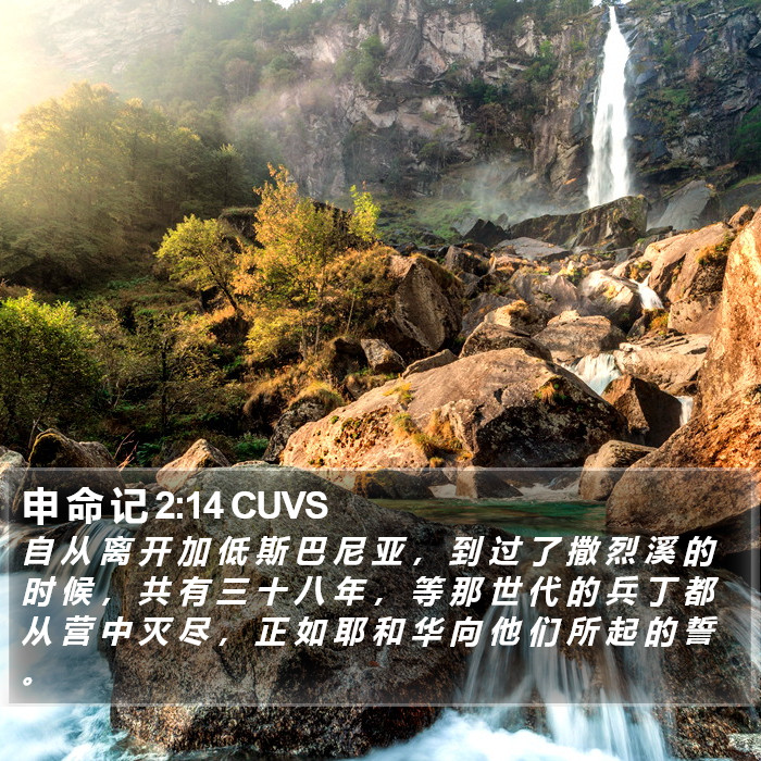 申 命 记 2:14 CUVS Bible Study