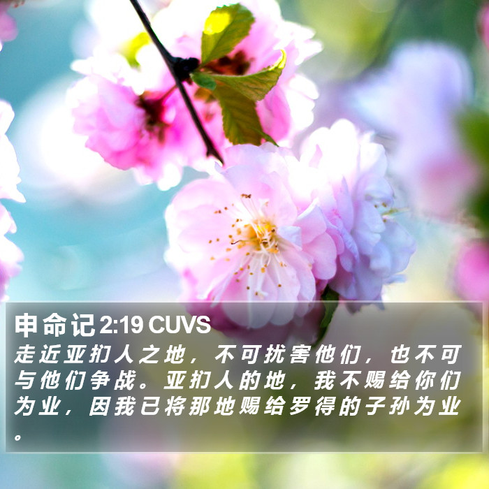 申 命 记 2:19 CUVS Bible Study