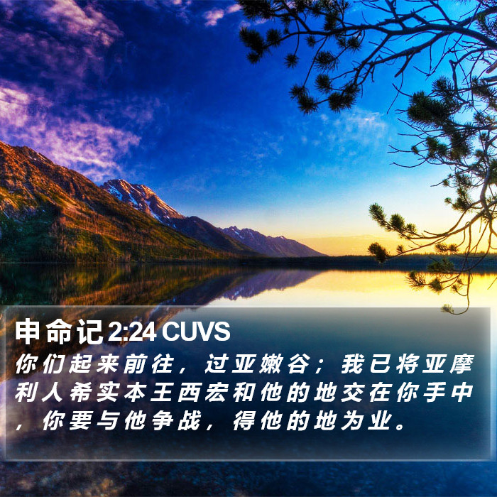 申 命 记 2:24 CUVS Bible Study