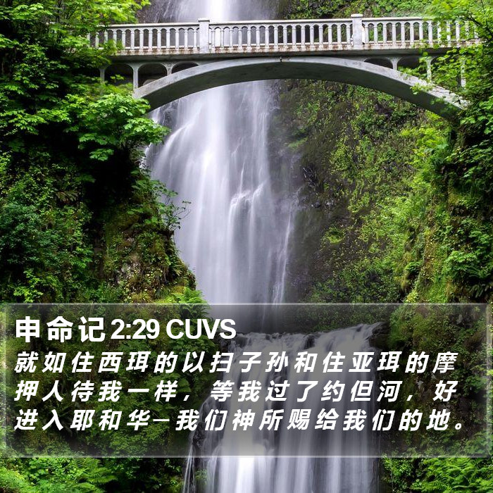 申 命 记 2:29 CUVS Bible Study