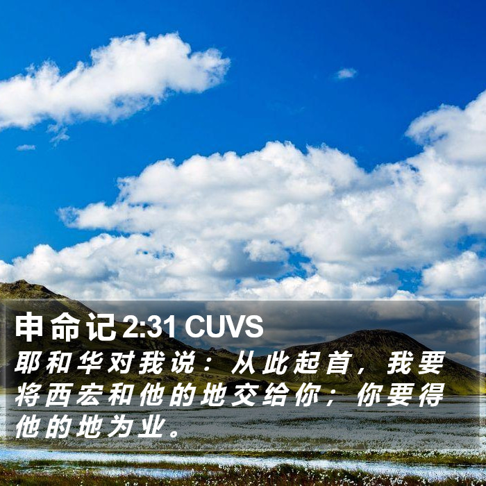 申 命 记 2:31 CUVS Bible Study