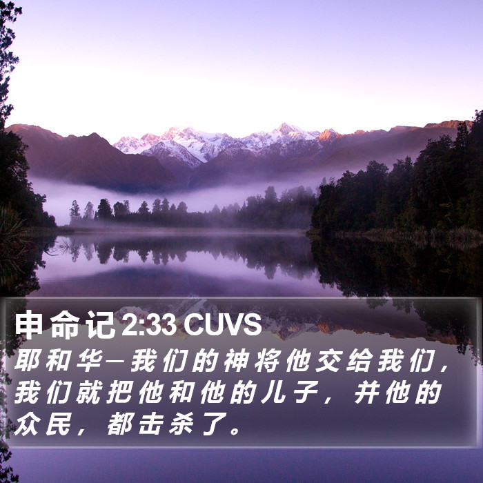 申 命 记 2:33 CUVS Bible Study