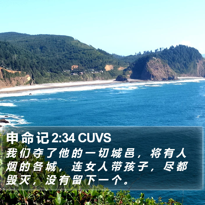 申 命 记 2:34 CUVS Bible Study