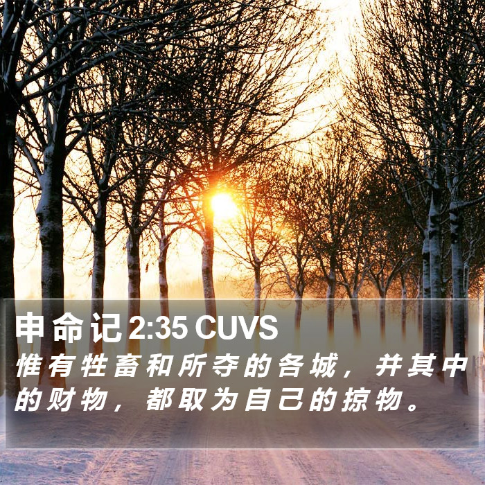 申 命 记 2:35 CUVS Bible Study