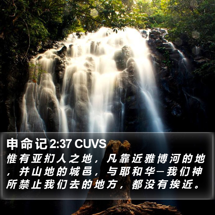 申 命 记 2:37 CUVS Bible Study