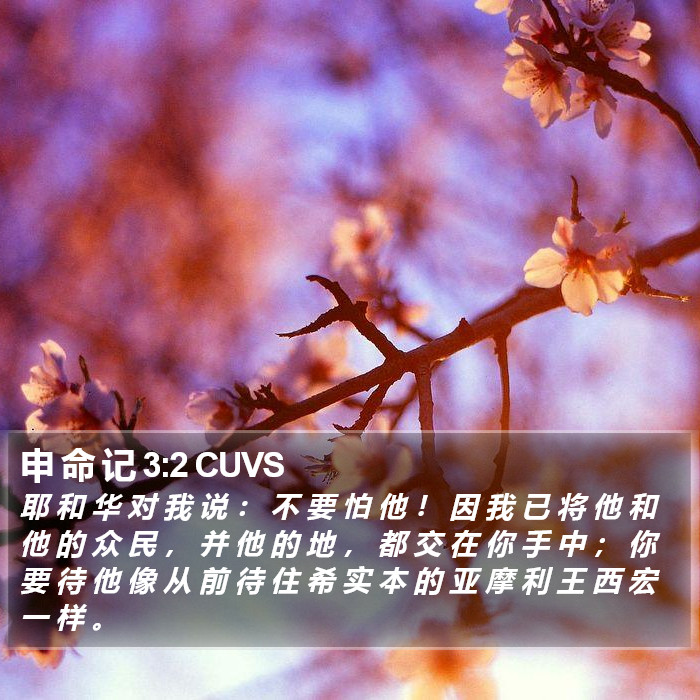 申 命 记 3:2 CUVS Bible Study